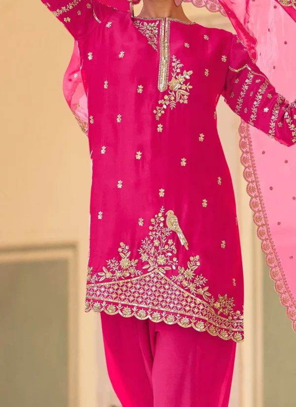 Punjabi Pink suit with Mirror Work - Image 3