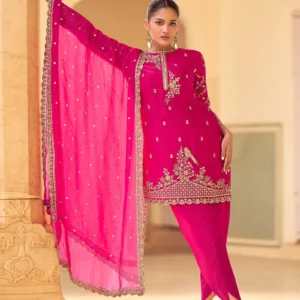 Punjabi Pink suit with Mirror Work